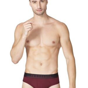 Van Heusen Men Breathable AIR Series Briefs - Polyamide Spandex - Swift Dry, 4-Way Stretch, Mesh Panel