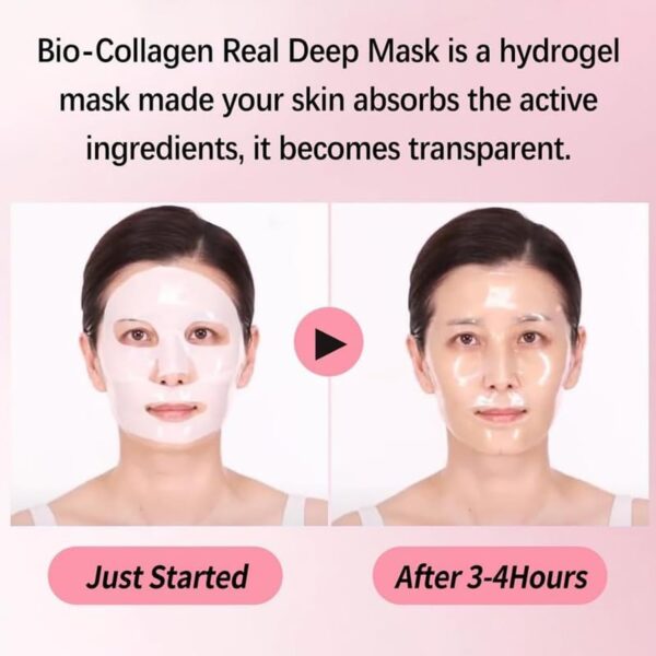 Bee & Beauty Bio Collagen Overnight Mask Pack of 1 | Korean Face Mask For Glass Skin | Sheet Mask For Deep Hydration, Pore minizmizing With Goodness Of Honey - Image 7