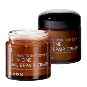 MIZON All in One Snail Repair Cream, Snail Line, Face Moisturizer, Snail Mucin Extract, Wrinkle Care, Blemish Care, Without Stickiness, Korean Skincare (75ml, 2.5 fl oz)
