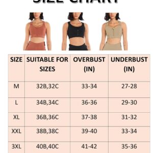 PLUMBURY Women's Polyester Blend Padded Front Zip Plus Size Full Coverage High Support Velcro Adjustable Sports Bra For Workout Gym