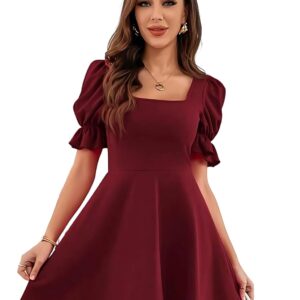 Leriya Fashion Women's Fit and Flare Knee Length Dress